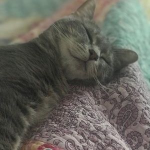 Meet your Posher, Lauren